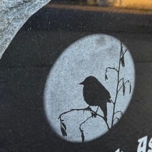 Специальный дизайн - фотографии