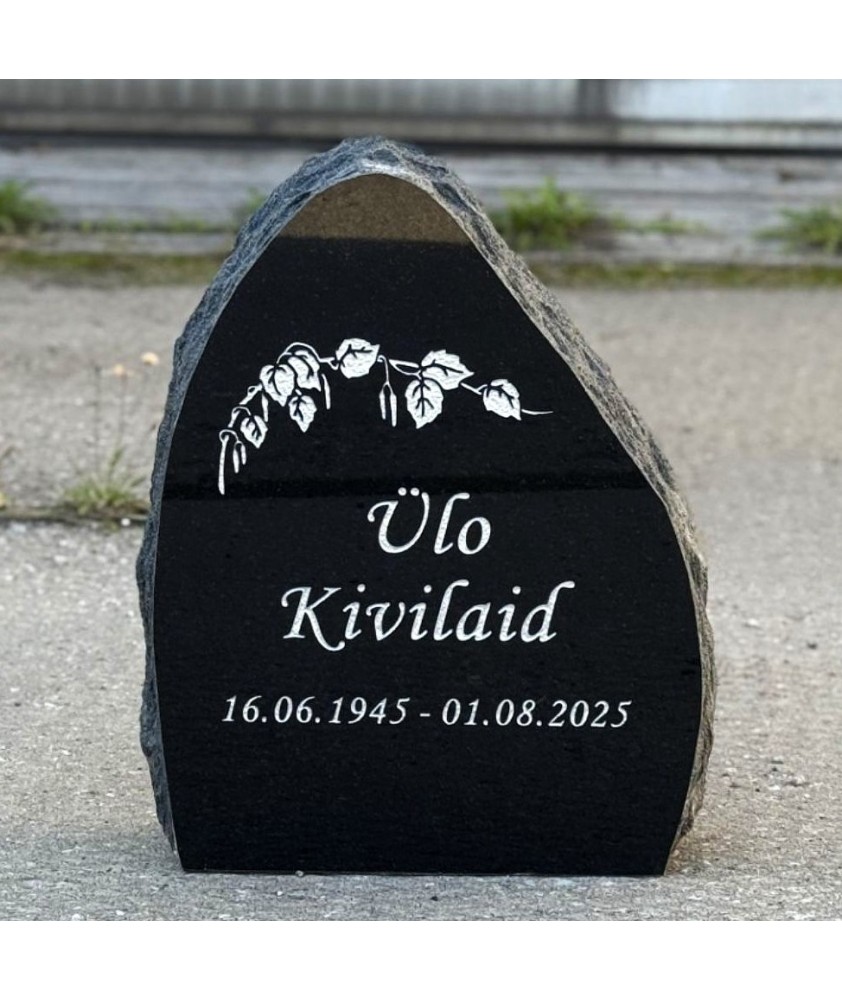 Большой выбор памятников -  ознакомиться с предложениями